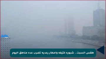 طقس السبت.. شبورة كثيفة وأمطار رعدية تضرب عدة مناطق اليوم